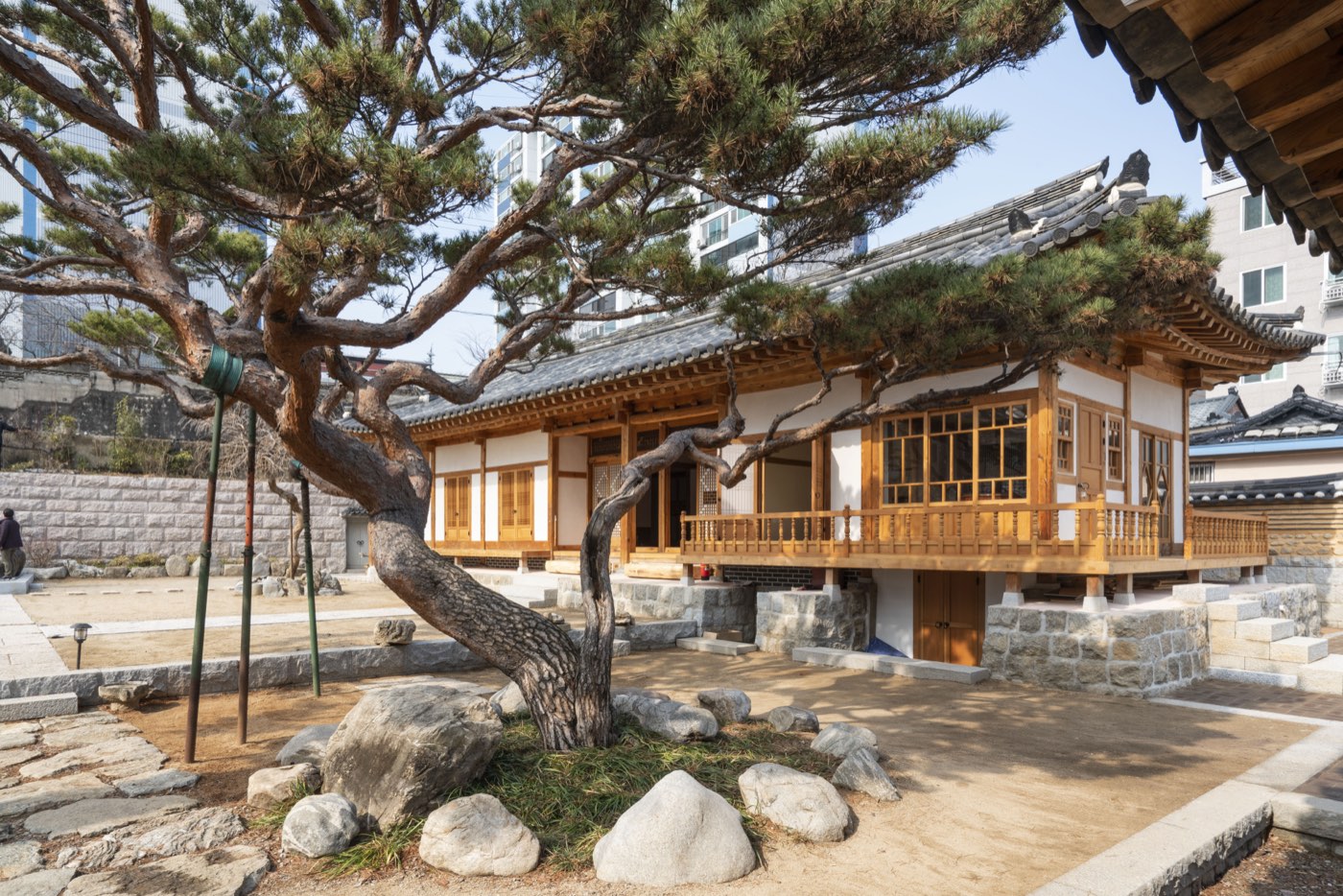 노송이 서 있는 소휴재 안마당과 본채